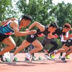 【典型案例】大学体质测试数据管理系统配置